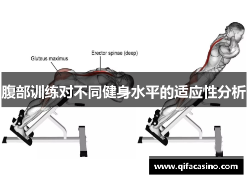 腹部训练对不同健身水平的适应性分析